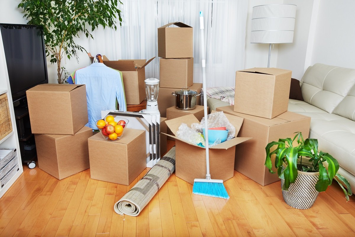 Move In / Move Out & Deep Cleaning