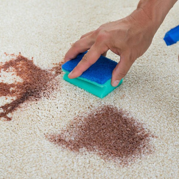Stain & Odour Removal