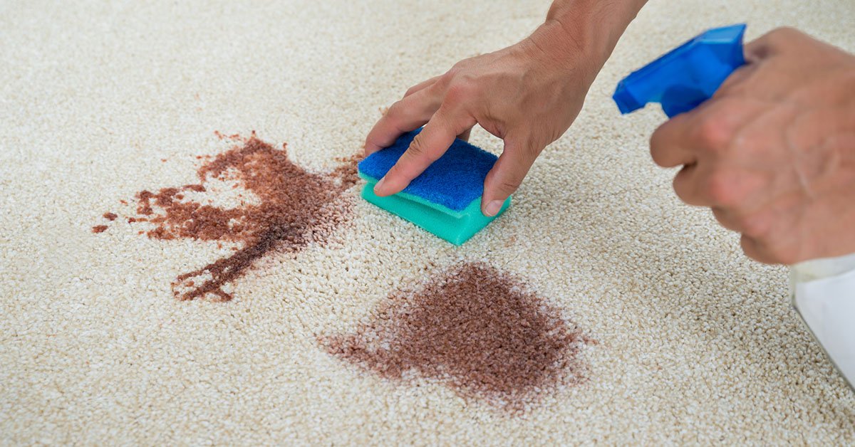 Stain & Odour Removal